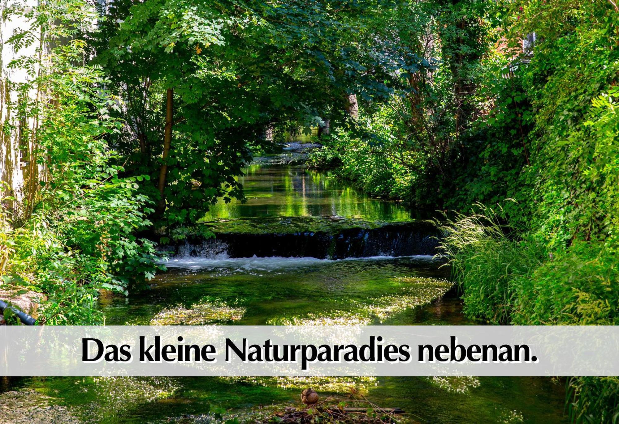Stadtperle Am Plaetschernden Wasser - 50M2 2R Malerische Fewo In Top Lage Erfurt Exterior photo